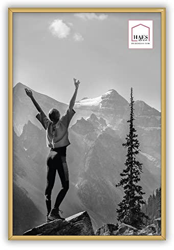 HAES DECO - Bilderrahmen/Wandrahmen/Fototür Kunststoff Easy Frame Gold 30 x 45 cm - EF6G