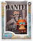 Funko Pop Ace One Piece Album 05