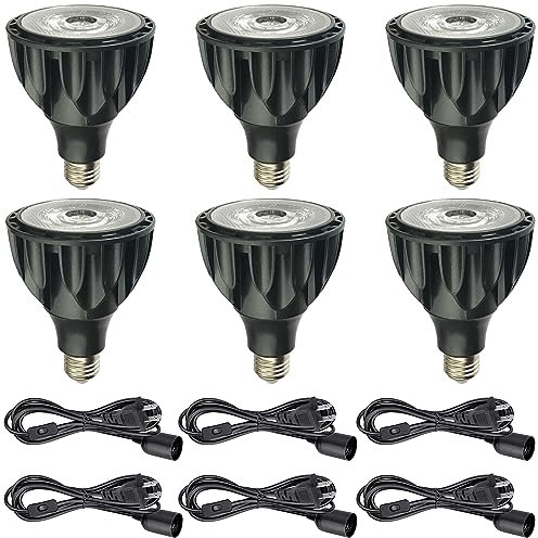 RYTM 6-Pack PAR30 LED Bulb 30 Watt COB Grow Lights (250 Watt Eqv.) Full Spectrum Plant Light with Plug-in Hanging Cord Kit Grow Lamp Bulb for Indoor Plants Flowers Greenhouse Seed Starting