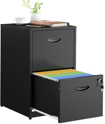 SteeLoong 2 Drawer File Cabinets,Metal Office File Cabinet with Lock,Black Filing Cabinets for Home Office,Vertical Modern File Cabinet Office Two Drawers for Hanging Letter,Assembly Required
