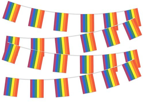 Pride Decorations Rainbow Pride Bunting Banner with 25 Pennant Flags-26.2Ft LGBTQ Gay Lesbian Bisexual Pansexual Non-Binary Inclusion Flags for Home Garden School Bars &Pride Month Pride Accessories