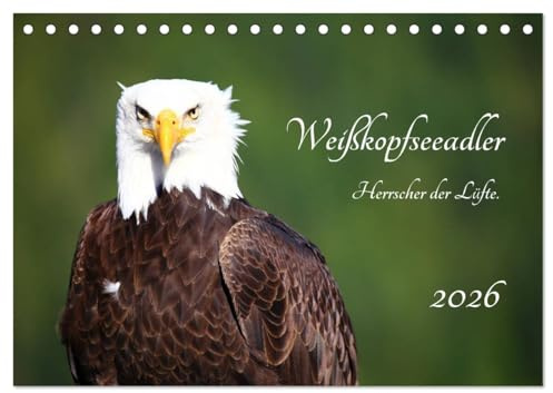 Weißkopfseeadler. Herrscher der Lüfte. 2026 (Tischkalender 2026 DIN A5 quer), CALVENDO Monatskalender: Zeichen von Freiheit und Vertrauen: Der Weißkopfseeadler. (CALVENDO Tiere)