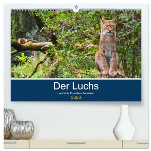 Der Luchs - Hochbeinig, Pinselohren, Backenbart (hochwertiger Premium Wandkalender 2026 DIN A2 quer), Kunstdruck in Hochglanz: Unsere größten und seltensten Katzen. (CALVENDO Tiere)