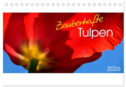 Zauberhafte Tulpen (Tischkalender 2026 DIN A5 quer), CALVENDO Monatskalender: Die Blumen des Frühlings sind die Träume des Winters (Khalil Gibran) (CALVENDO Natur)