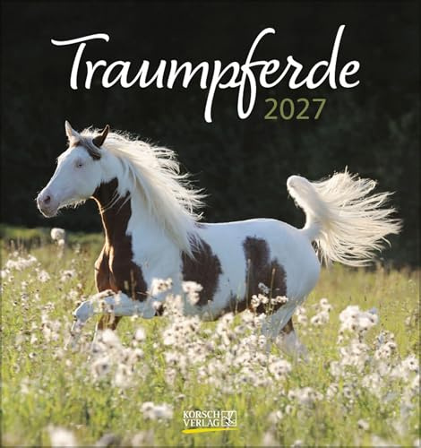 Traumpferde 2027: aufstellbarer Postkartenkalender