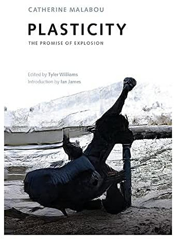 Plasticity: The Promise of Explosion
