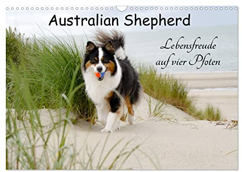 Australian Shepherd - Lebensfreude auf vier Pfoten (Wandkalender 2025 DIN A3 quer), CALVENDO Monatskalender: Die Abenteuer eines powervollen Australian Shepherd (CALVENDO Tiere)
