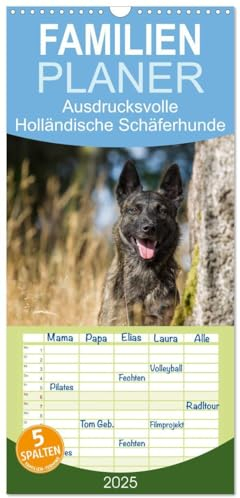 Familienplaner 2025 - ausdrucksvolle Holländische Schäferhunde mit 5 Spalten (Wandkalender, 21 cm x 45 cm), CALVENDO
