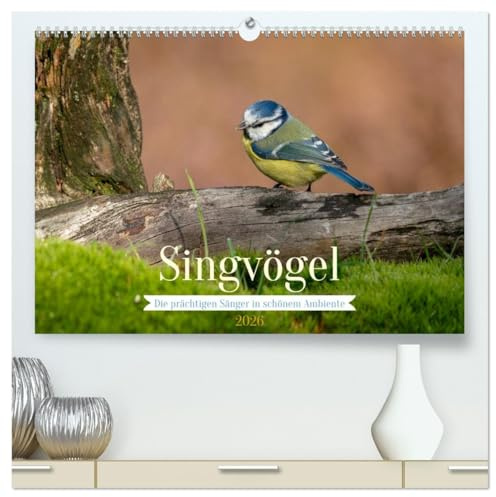 SINGVÖGEL - Die prächtigen Sänger in schönem Ambiente (hochwertiger Premium Wandkalender 2026 DIN A2 quer), Kunstdruck in Hochglanz: Besonders schöne Aufnahmen unserer Sperlingsvögel. (CALVENDO Tiere)