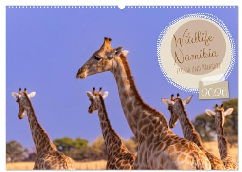 Wildlife Namibia - Etosha und Kalahari (Wandkalender 2026 DIN A2 quer), CALVENDO Monatskalender: Faszinierende Tierfotos, die begeistern (CALVENDO Tiere)