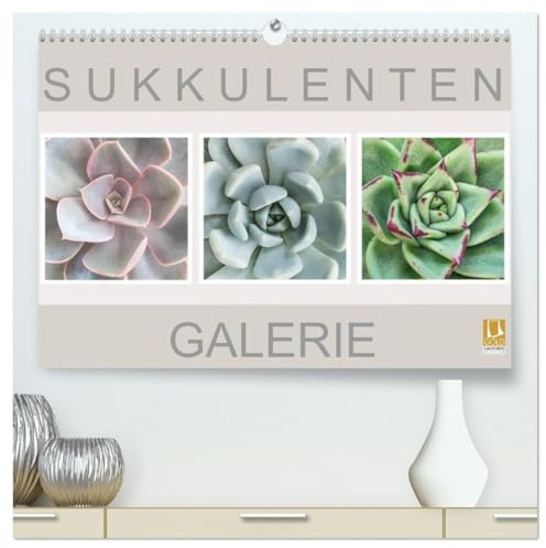 Sukkulenten Galerie (hochwertiger Premium Wandkalender 2026 DIN A2 quer), Kunstdruck in Hochglanz: Beeindruckende Nahaufnahmen von Sukkulenten (CALVENDO Natur)