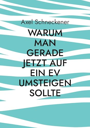Warum man gerade jetzt auf ein EV umsteigen sollte