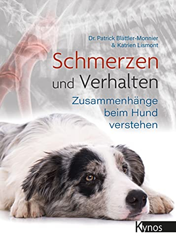 Schmerzen und Verhalten: Zusammenhänge beim Hund verstehen