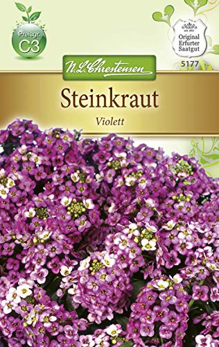 N.L. Chrestensen 5177 Steinkraut Alyssum Violett (Steinkrautsamen)