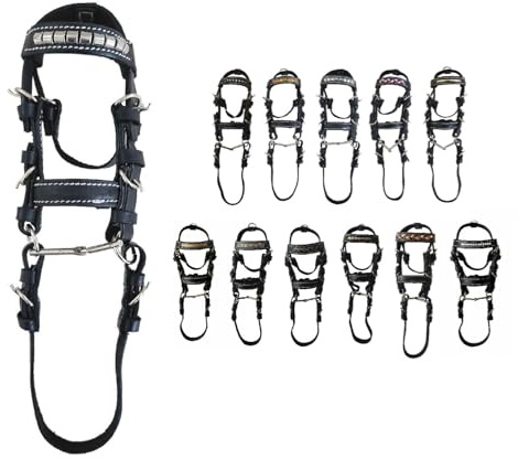 NETPROSHOP Dekotrense Leder Schlüsselanhänger Minitrense Länge ca. 14 cm Mini Trense, Auswahl:Silber Gefliest