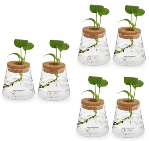 Warmhm 2er Set Glas Pflanzer Mit Holzdeckel – Elegante Hydro-Vase Für Pflanzenzucht - Ideal Als Dekoration Für Zuhause Und Büro Perfekt Für Hydrokultur Und Pflanzenvermehrung