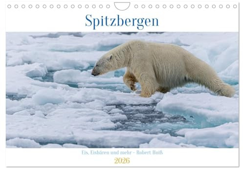 Spitzbergen - Eis, Eisbären und mehr (Wandkalender 2026 DIN A4 quer), CALVENDO Monatskalender: Spitzbergen in all seiner eisigen Schönheit (CALVENDO Natur)