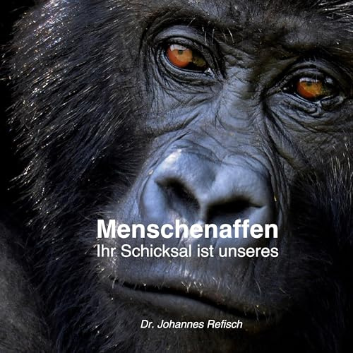 Menschenaffen: Ihr Schicksal ist unseres