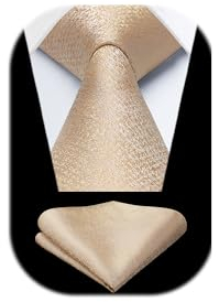 HISDERN Männer Krawatte Gold Krawatten Für Männer Klassische Seide Hochzeit Krawatte und Pocket Square Set