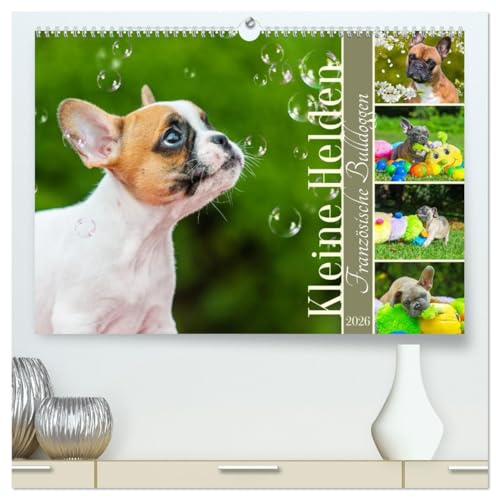 Kleine Helden - Französische Bulldoggen (hochwertiger Premium Wandkalender 2026 DIN A2 quer), Kunstdruck in Hochglanz: Mit 13 bezaubernden Fotos der beliebten Französischen Bulldoggen (CALVENDO Tiere)
