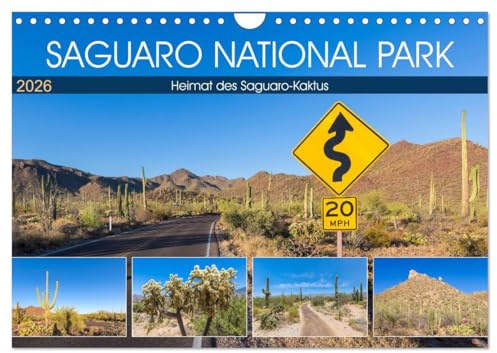 SAGUARO NATIONAL PARK Heimat des Saguaro-Kaktus (Wandkalender 2026 DIN A4 quer), CALVENDO Monatskalender: Wüstenimpressionen aus Arizona (CALVENDO Natur)