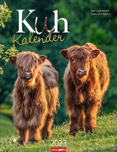 Kuh Kalender. Foto-Wandkalender 2023 von den renommierten Tierfotografen Jean-Louis Klein und Marie-Luce Hubert. Mit Planer zum Eintragen. Süße ... 2023. Landschaften mit Kühen. 30x39cm