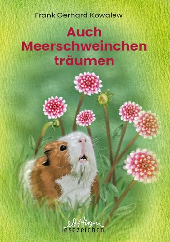 Auch Meerschweinchen träumen