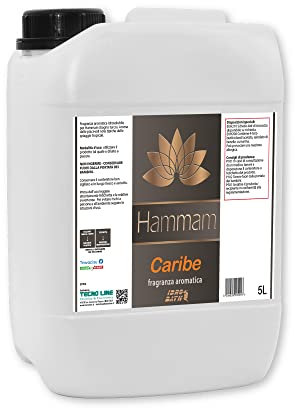 Fragancia Aromatica Caribe concentrata 5 Lt. – Ambientadores para sauna baño turco y Hammam – Envío immediata