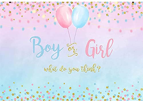 Hoshisea Gender Reveal Hintergrund Banner, Pink und Blau Reveal Banner, Geschlecht Enthüllen Dekorationen, Für Gender-Show-Partys, Fotografie (Blau und Pink)
