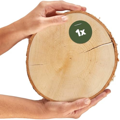 Große Holzscheibe zum Basteln oder Dekorieren - 1 Stück naturbelassene Baumscheibe ca. 20 cm (18 - 22 cm) Durchmesser aus birken-holz - runde Holz Birkenscheibe als Holzdeko Holzplatte