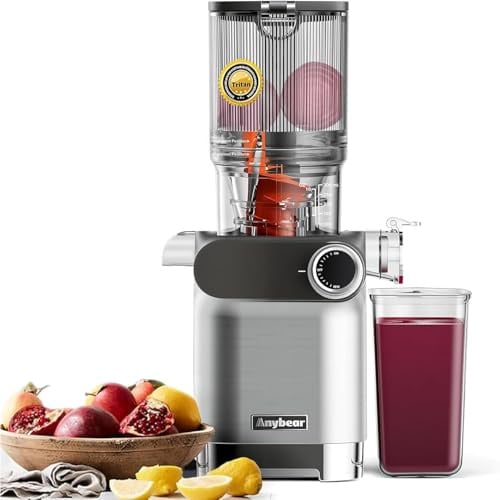 Anybear Entsafter 200W Slow Juicer mit 110 mm großem Einfüllschacht für ganze Früchte/Gemüse | Upgraded Schnecke | Tritan-Material | BPA-frei | Inkl. Saftrezepte (Silbern)