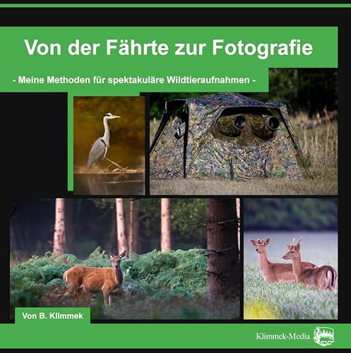 Von der Fährte zur Fotografie: Meine Methoden für spektakuläre Wildtieraufnahmen