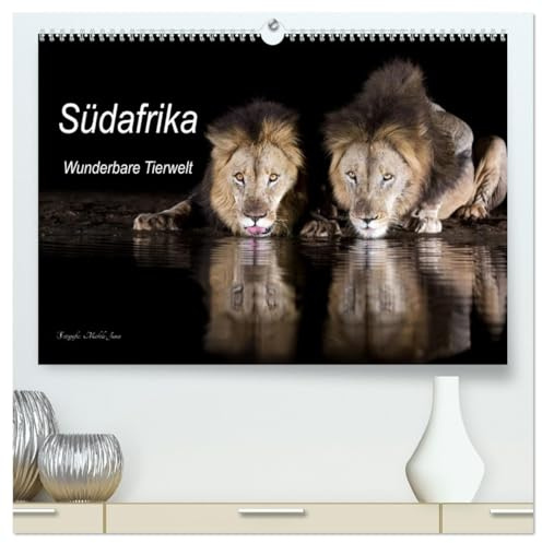 Südafrika wunderbare Tierwelt (hochwertiger Premium Wandkalender 2026 DIN A2 quer), Kunstdruck in Hochglanz: Einblick in die Tierwelt Südafrikas (CALVENDO Natur)