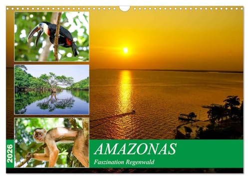 Amazonas - Faszination Regenwald (Wandkalender 2026 DIN A3 quer), CALVENDO Monatskalender: Eine faszinierende Rundreise durch den Amazonas Regenwald (CALVENDO Natur)