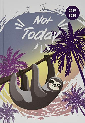 Collegetimer Not Today 2019/2020 - Faultier - Schülerkalender A5 (15 x 21) - Weekly - 224 Seiten - Terminplaner: Faultier - Schülerkalender A5 - Terminplaner