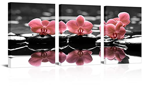 Visual Art Decor Schwarz Weiß Grau Rosa Orchideen Bild Leinwand Drucke Schöne Elegant Blumen Zen Stein Wandkunst für Modern Spa Yoga Zuhause Schlafzimmer Büro Badezimmer Dekoration