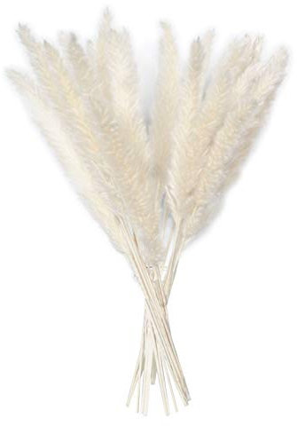 YIWOYI - Pampa secca, fragmiti, colore naturale chiaro, ideale per matrimoni, mazzetto di fiori secchi naturali (bianco)