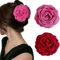 TOFBS Fermaglio Capelli Donna 6 Pezzi Eleganti Vintage Mollette Antiscivolo Resina Fermagli Banana Accessori per Partecipare a Feste Compleanni Matrimoni（Rosa + Rosso）
