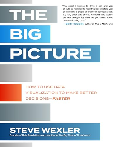 The Big Picture: How to Use Data Visualization to Make Better Decisions―Faster (BUSINESS BOOKS)