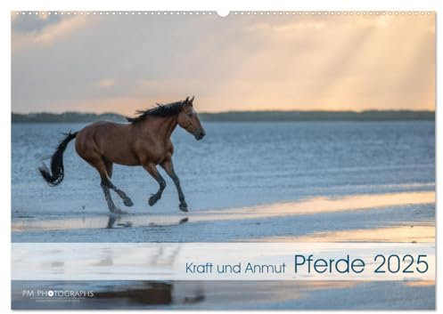 Pferde 2025 Kraft und Anmut (Wandkalender 2025 DIN A2 quer), CALVENDO Monatskalender: Ausdrucksstarke Pferde in der Natur (CALVENDO Tiere)