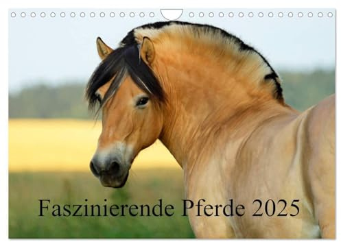 Faszinierende Pferde 2025 (Wandkalender 2025 DIN A4 quer), CALVENDO Monatskalender: Die schönsten Pferderassen eindrucksvoll fotografiert! (CALVENDO Tiere)