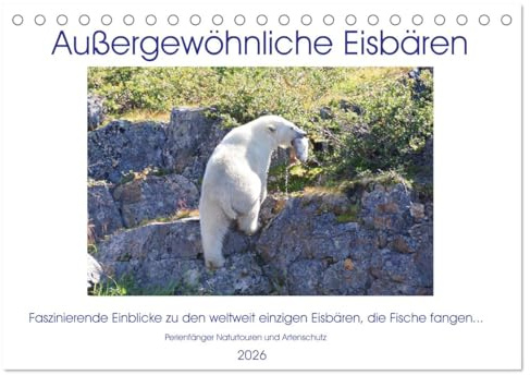 Das Leben der etwas anderen Eisbären! (Tischkalender 2026 DIN A5 quer), CALVENDO Monatskalender: Aus dem Leben der etwas anderen Eisbären! (CALVENDO Tiere)