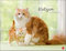 Katzenkalender von Monika Wegler - charmanter Wandkalender 2021 mit Monatskalendarium - Format 44 x 34 cm
