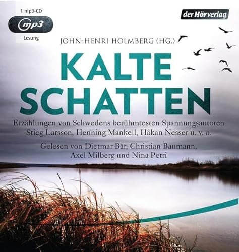 Kalte Schatten: Erzählungen von Schwedens berühmtesten Spannungsautoren - Åke Edwardson, Åsa Larsson, Stieg Larsson, Henning Mankell, Håkan Nesser u.v.a.