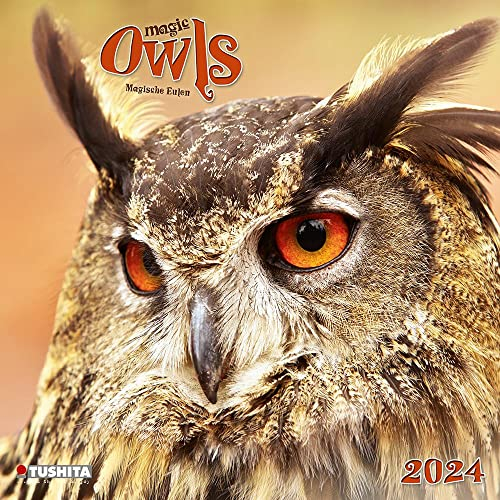 Magic Owls 2024: Kalender 2024 (Wonderful World)