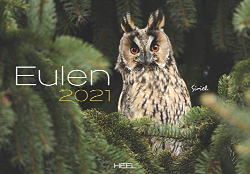 Eulen 2021: Mystische Wesen der Nacht