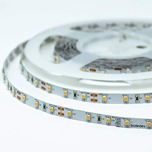 Bioledex LED Streifen 24V 5W/m 60LED/m 2700K 5m Rolle warmweiss