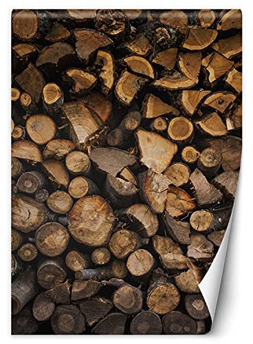 Feeby Fototapete XXL Rustikal Holz In Komposition 200x280 cm Braun Vliestapete Moderne Design Wandtapete Küche Flur Wohnzimmer Büro Badezimmer Kinderzimmer Abstrakt Textur