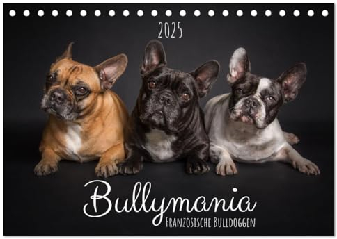 Bullymania - Französische Bulldoggen (Tischkalender 2025 DIN A5 quer), CALVENDO Monatskalender