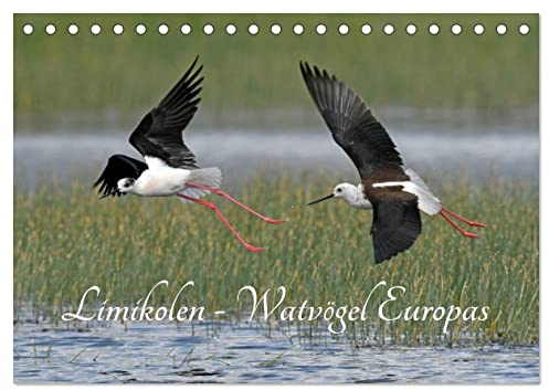 Limikolen - Watvögel Europas (Tischkalender 2026 DIN A5 quer), CALVENDO Monatskalender: Schnepfen und Regenpfeifer gehören zu den Limikolen ... ihre Überwinterungsgebiete. (CALVENDO Tiere)